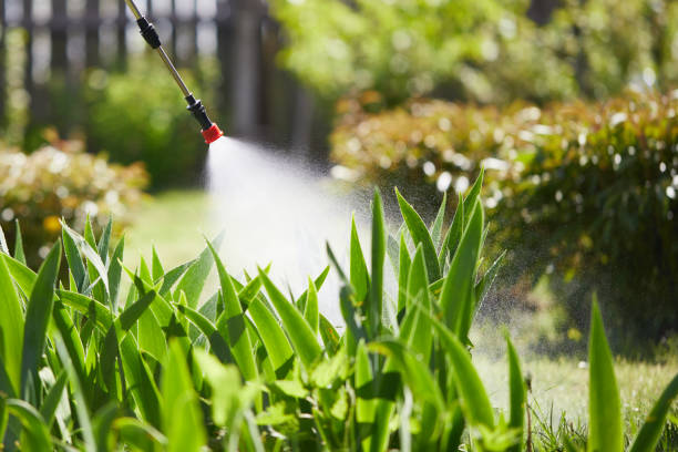 Tamper-Resistant Bait Stations for Rodents in Westminster