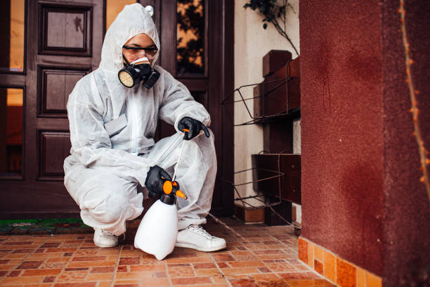 Attic and Crawl Space Rodent Treatment in Westminster