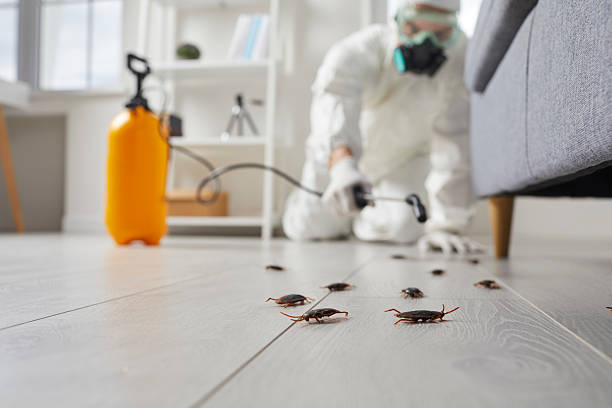 Commercial Rodent Management in Westminster